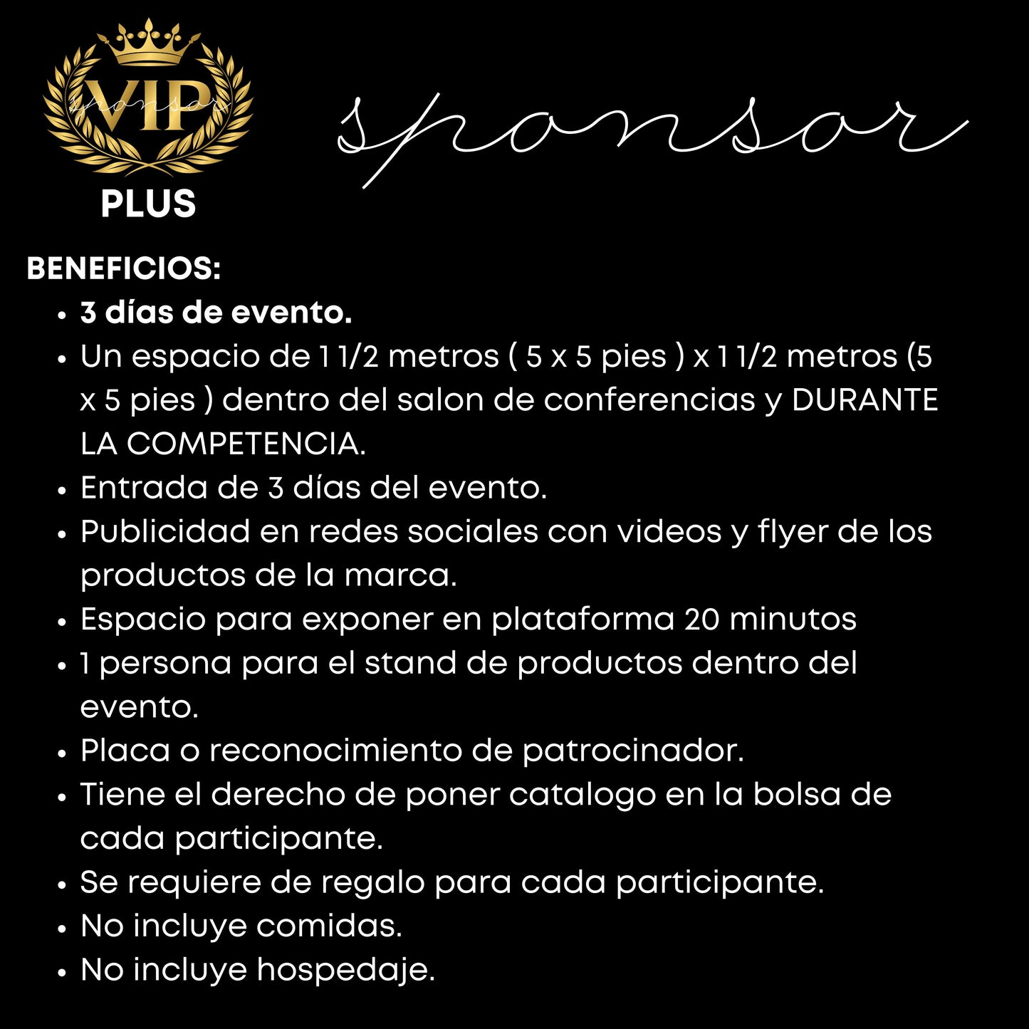 VIP Plus Sponsor